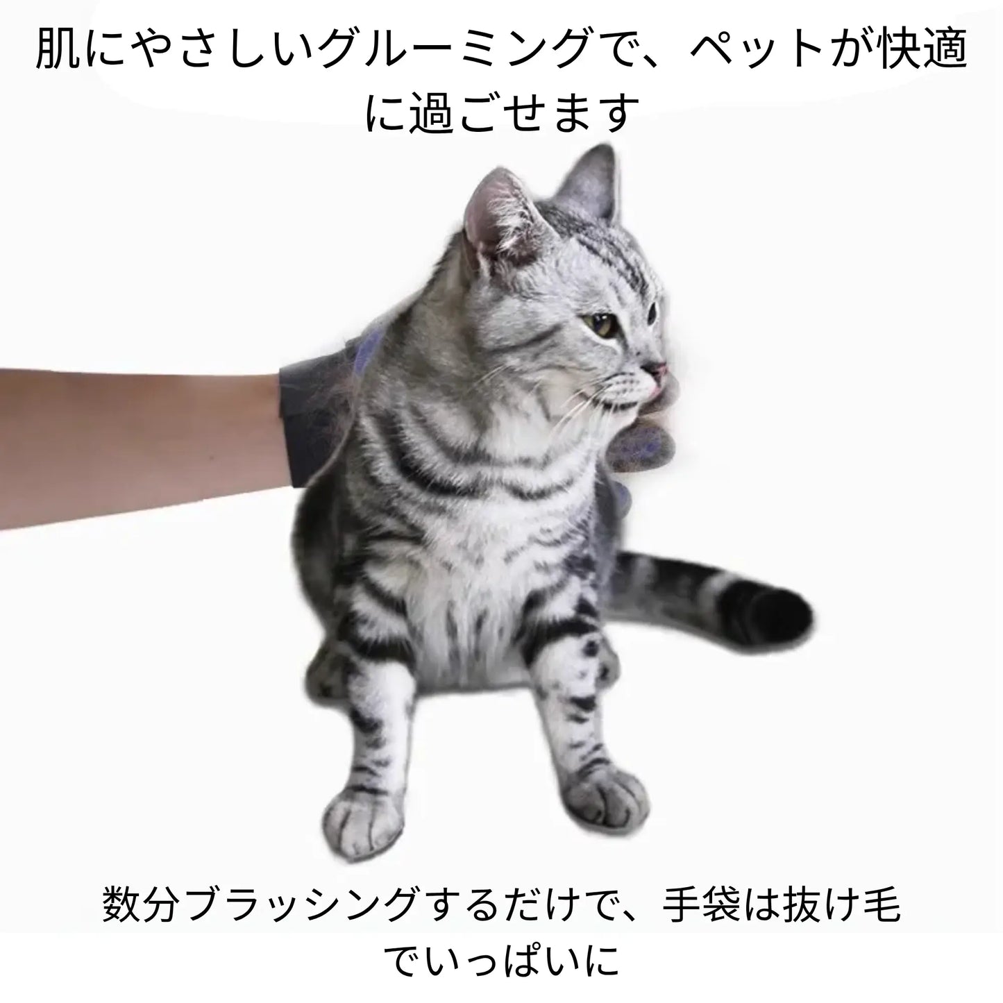 ネコタッチ™｜嫌がるブラッシング、もう終わり。猫の舌のような新体験。