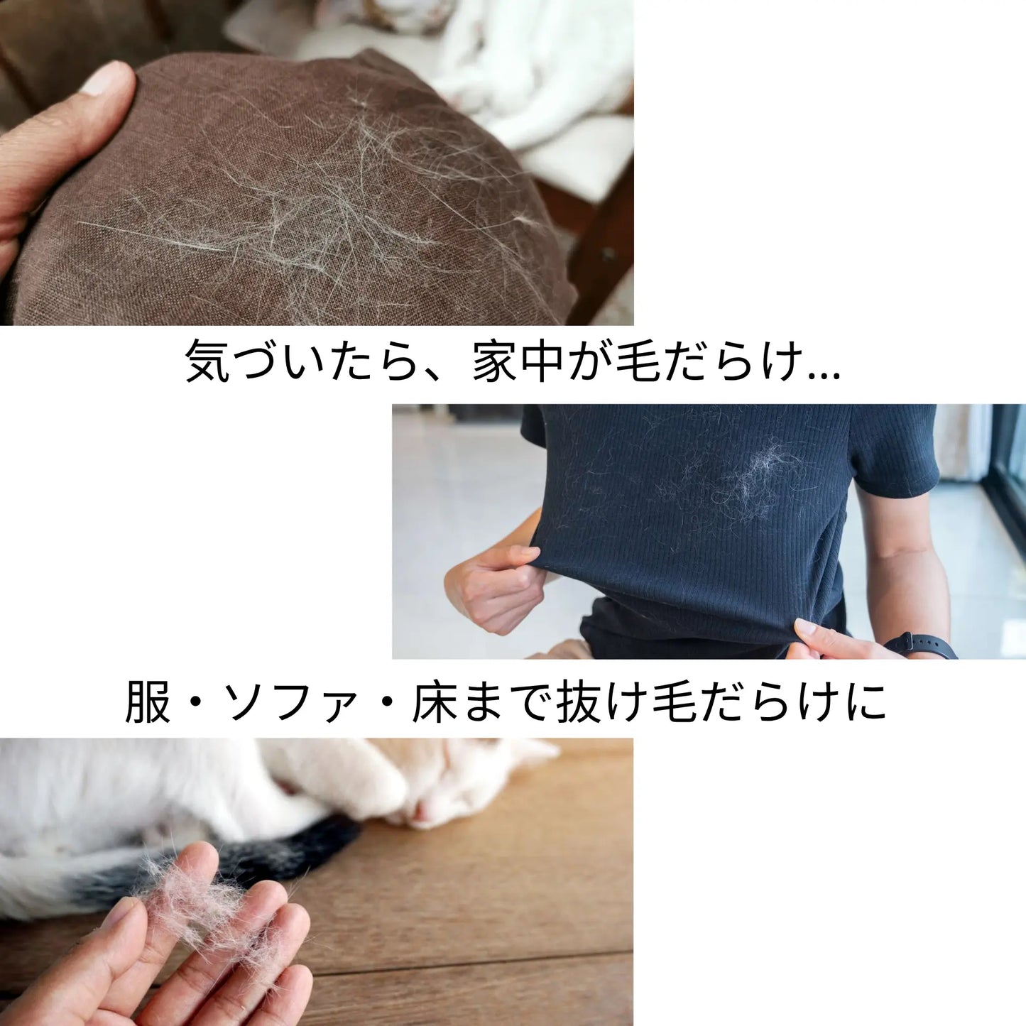 ネコタッチ™｜嫌がるブラッシング、もう終わり。猫の舌のような新体験。