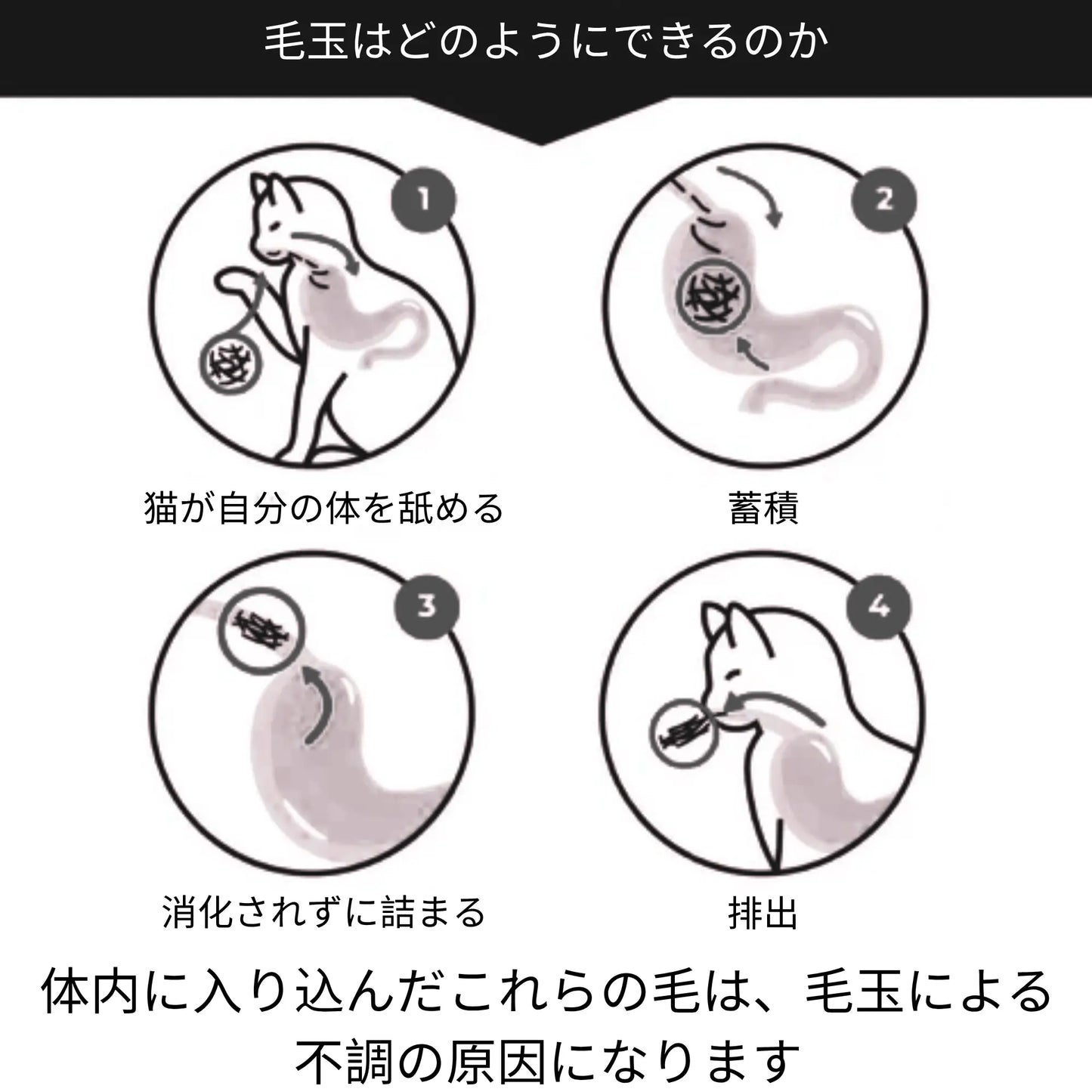 ネコタッチ™｜嫌がるブラッシング、もう終わり。猫の舌のような新体験。