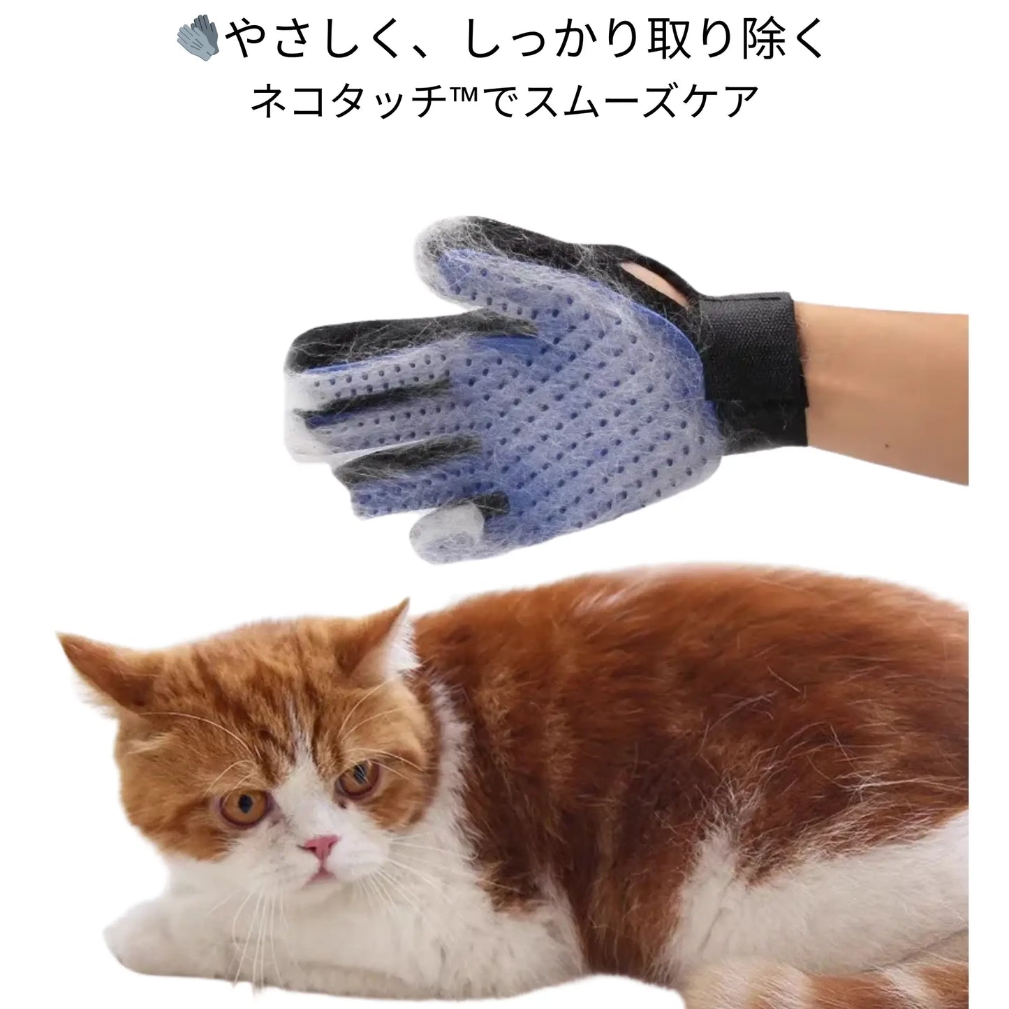 ネコタッチ™｜嫌がるブラッシング、もう終わり。猫の舌のような新体験。