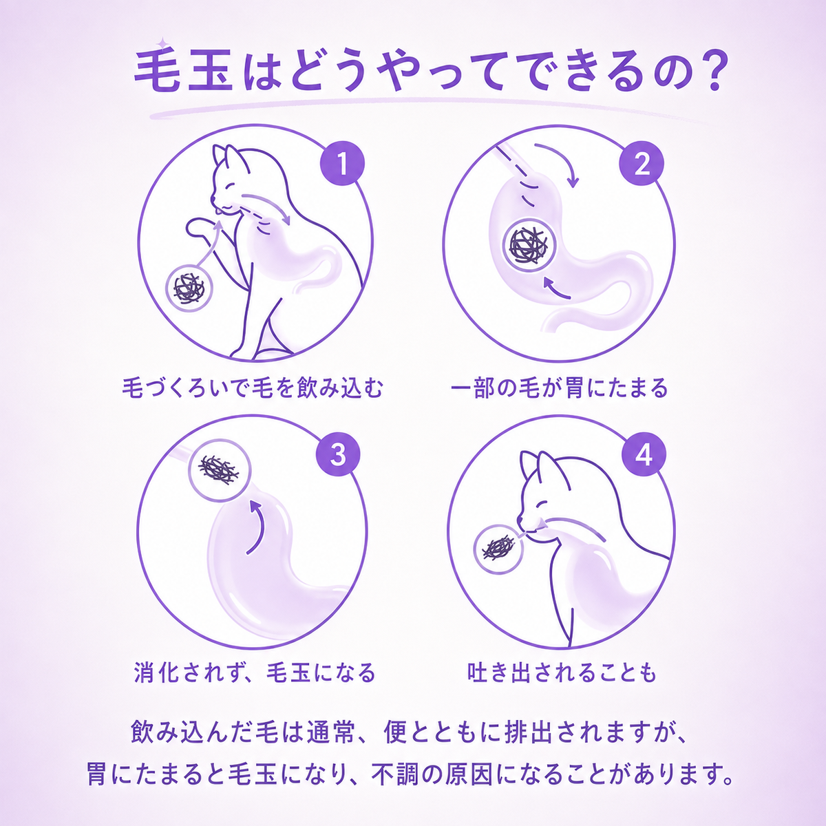 NukeFuwa™ 抜け毛ケア用カーブブラシ
